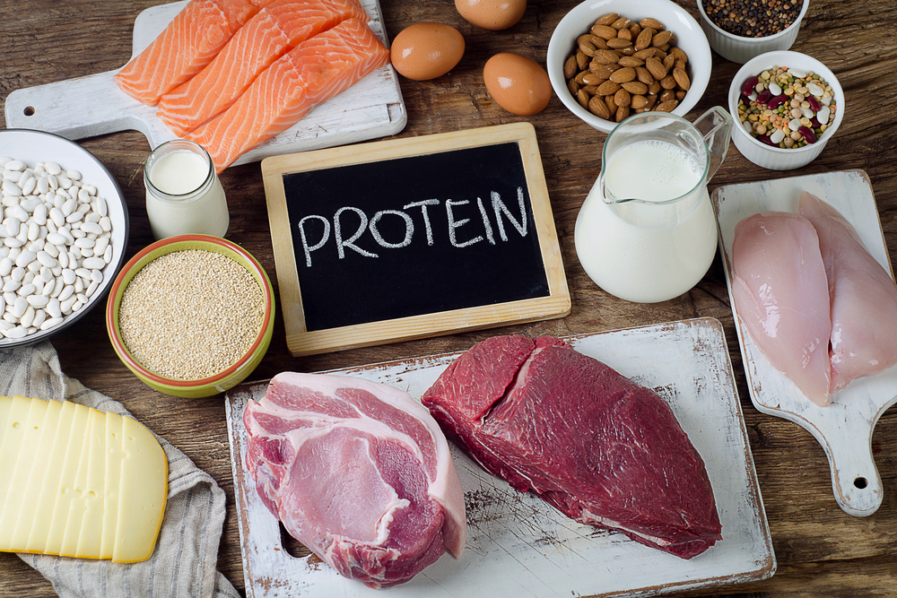 پروتئین و تقویت لثه ها
