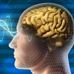 دکتر سعیدرضا شهامی متخصص مغز و اعصاب