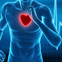 دکتر فروغ جوادی متخصص قلب و عروق