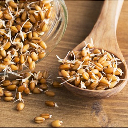 جوانه ای برای جوان نگاه داشتن پوست